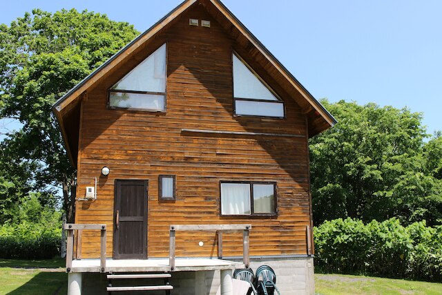 ニセココテージアカゲラ