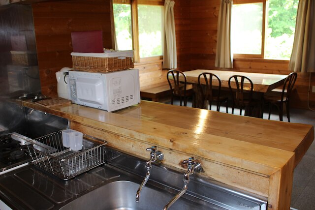 ニセココテージアカゲラ