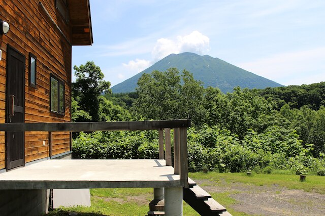 ニセココテージアカゲラ