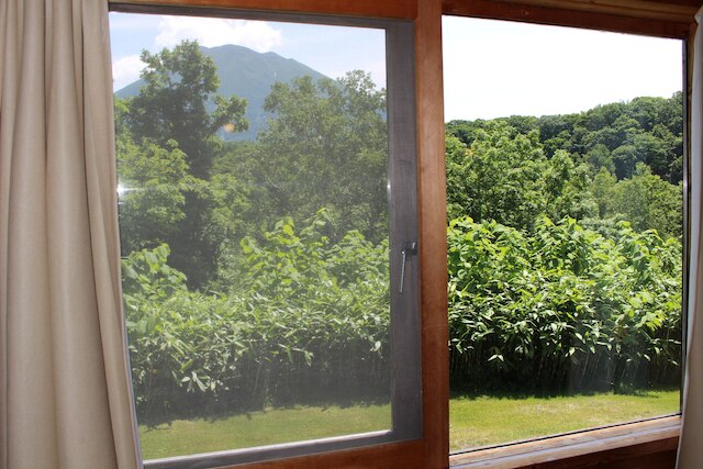 ニセココテージアカゲラ