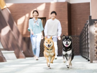 伊豆高原わんわんパラダイスホテル & コテージ