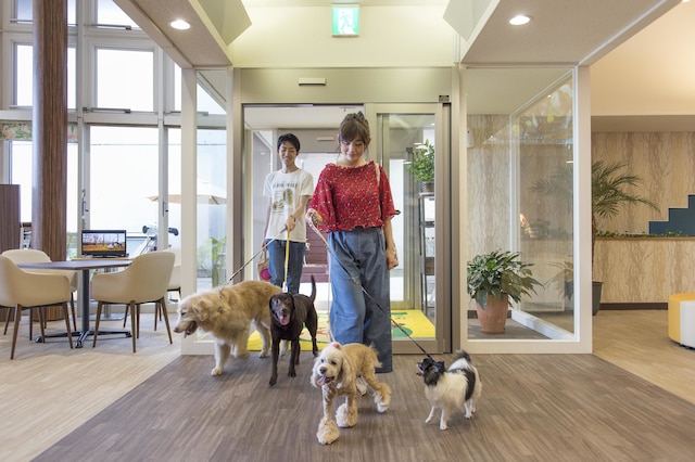 伊豆高原わんわんパラダイスコンドミニアム