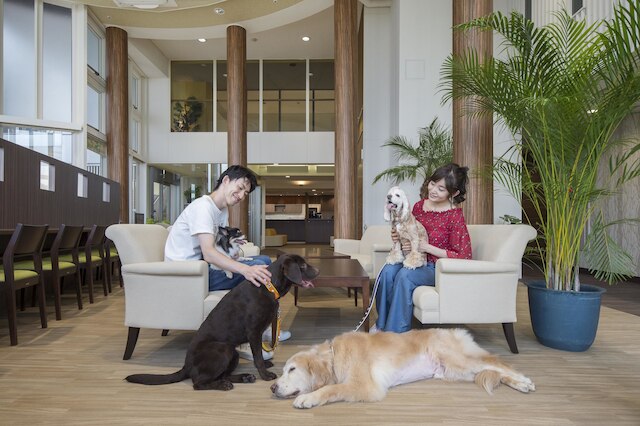 伊豆高原わんわんパラダイスコンドミニアム