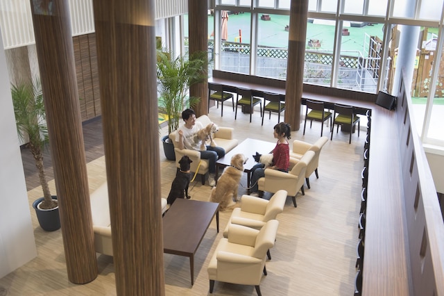 伊豆高原わんわんパラダイスコンドミニアム