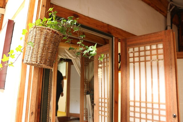 ダジャヨン ハノ ステイ