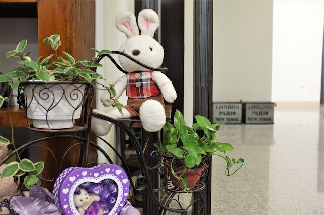 イング ホステル (IN居)