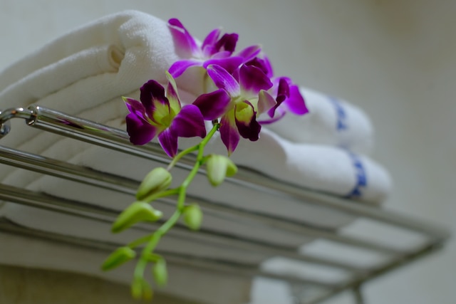 タイン ホアン チャウ ホテル