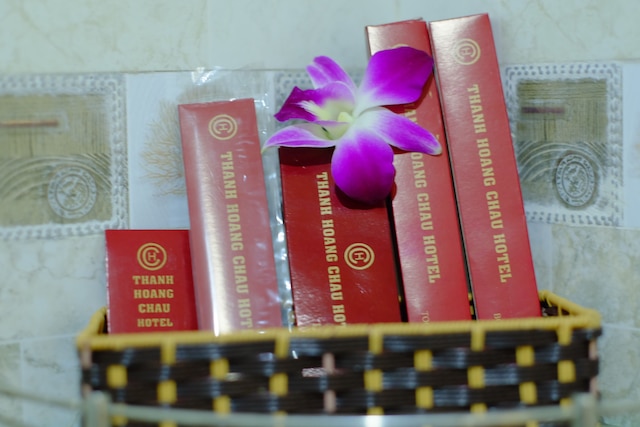 タイン ホアン チャウ ホテル