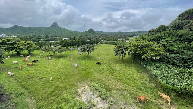 オーシャン KT イン (海的墾丁旅店)