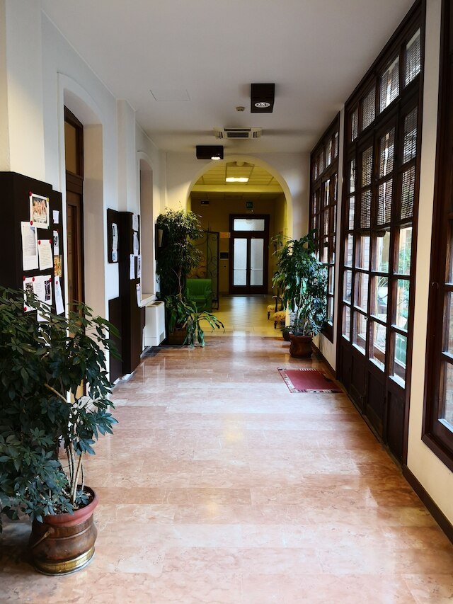 ドムス チリオータ