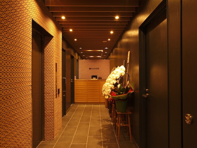 ホテル アマネク 銀座イースト