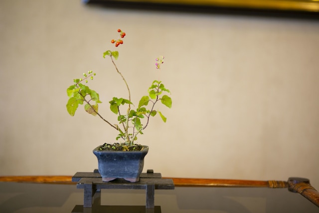 ホテルニューニシノ