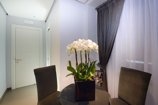 バーバレラ スイート