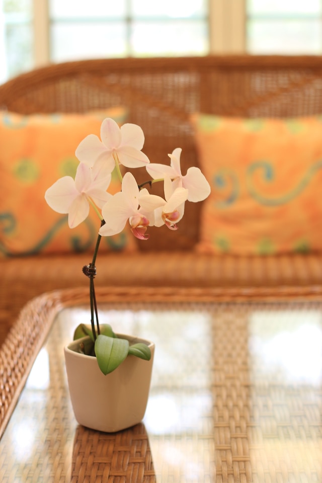 マリア ホームステイ (瑪莉亞民宿)