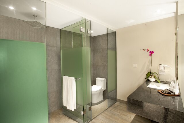 ダウン バリ スミニャック ホテル