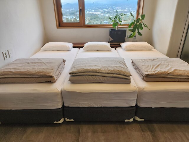 パーム ツリー ヴィラズ