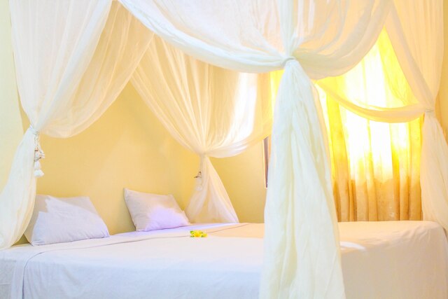 ロロ ビーチ イン