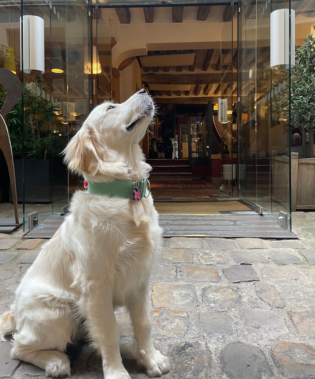 ホテル デュ ジュ ドゥ ポーム