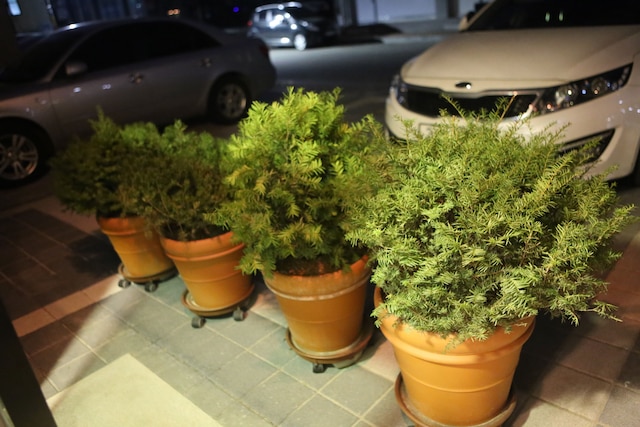 ウェルカム ハウス