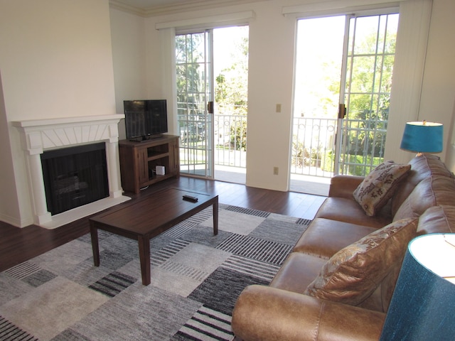 ネクスト トゥ フォー シーズン ホテル ラグジュアリー アパートメント