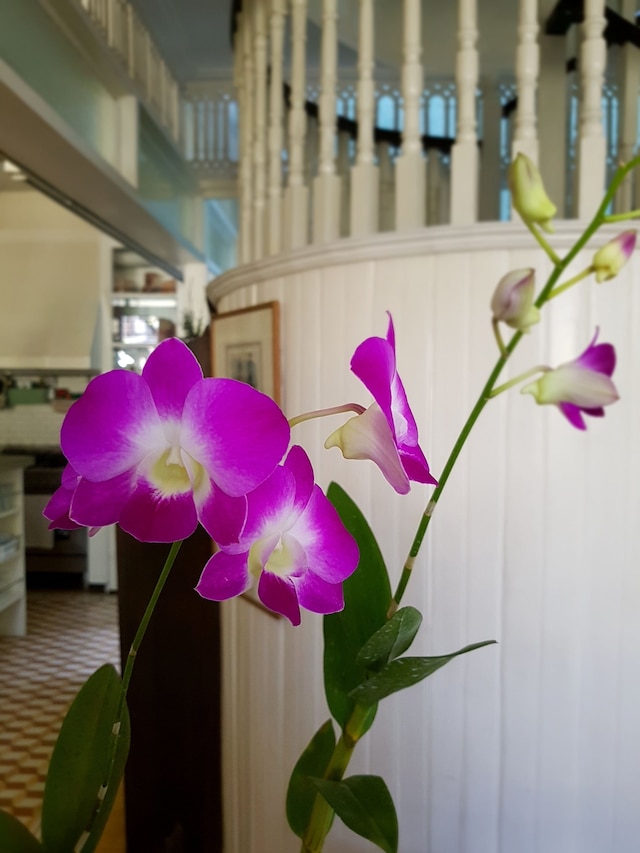 ラ カシータ メルセデス