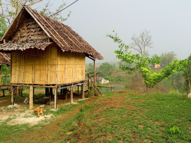 トニー ゲストハウス