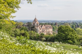 ザ ピーターシャム