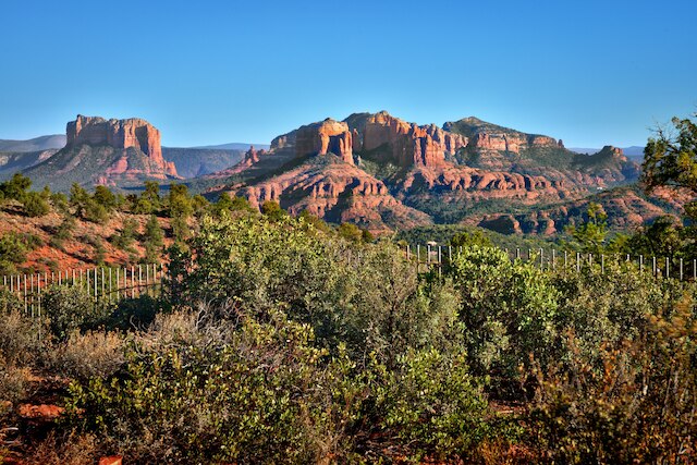 コートヤード・セドナ