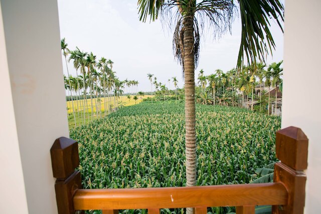 ニュー サンシャイン ホームステイ