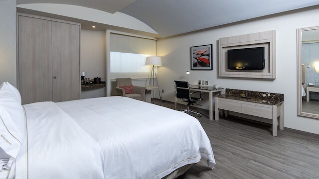 ホリデイ イン エクスプレス メキシコ - トレオ by IHG