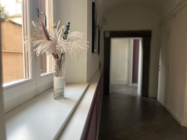 マイ トレビ チャーミング & ラグジュアリー ルームズ