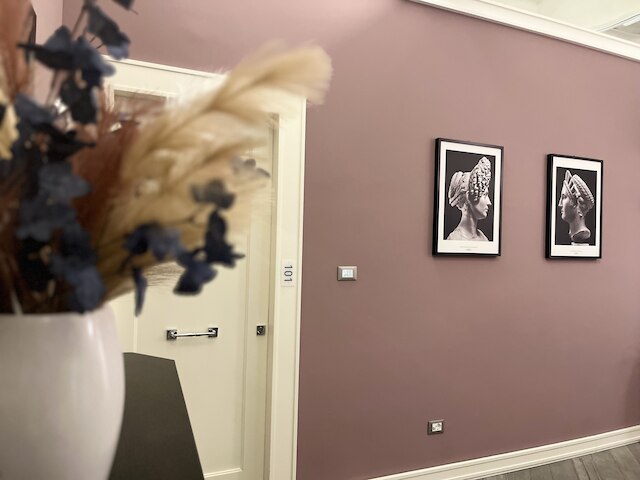 マイ トレビ チャーミング & ラグジュアリー ルームズ