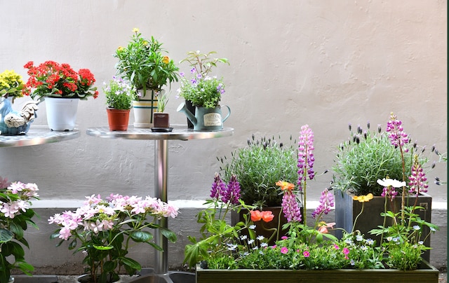 ザ ブロッサム ヨンナム ゲストハウス