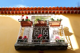 アルファマ イエロー ハウス