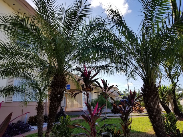 パークウェイ イン エアポート モーテル マイアミ