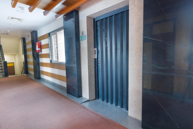 トリーボ アンバサダー