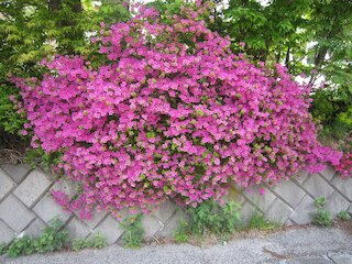 木の香りのホテル グーテベーレ