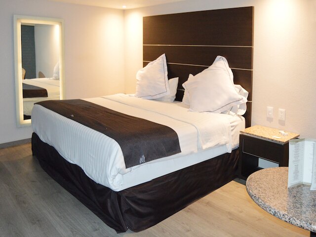 ホテル ソウル - イン メキシコシティ