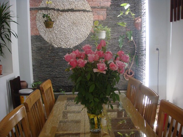 グリーン ココ ホームステイ ホイアン