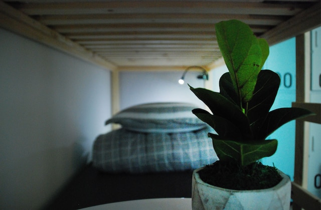 カンナム AN ゲストハウス - ホステル