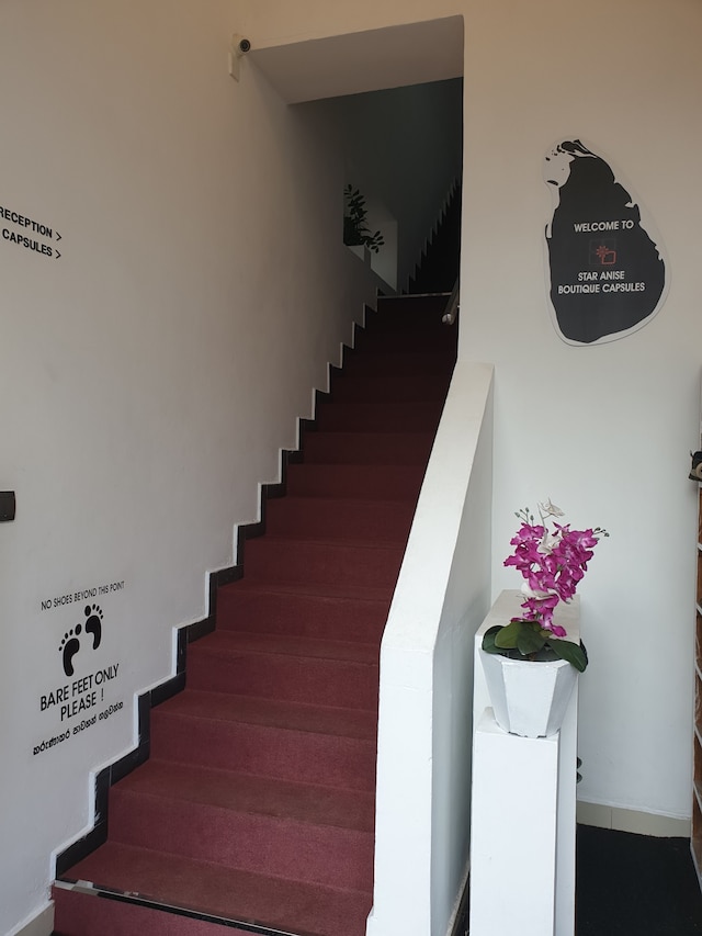 スター アニス ブティック カプセル