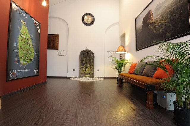 スター アニス ブティック カプセル