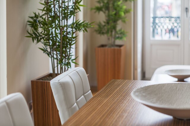 BO - フェルナンデス トマス