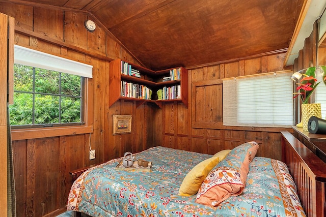 ボルケーノ アーティスト コテージ