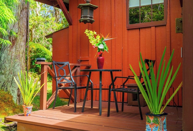 ボルケーノ アーティスト コテージ