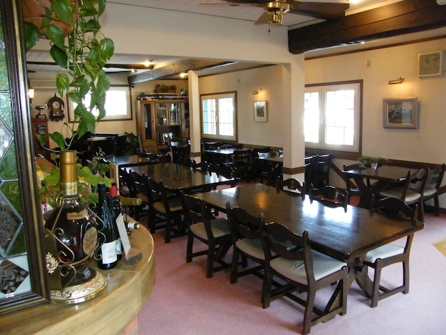 ラント ハウス ダンクル ネッツ