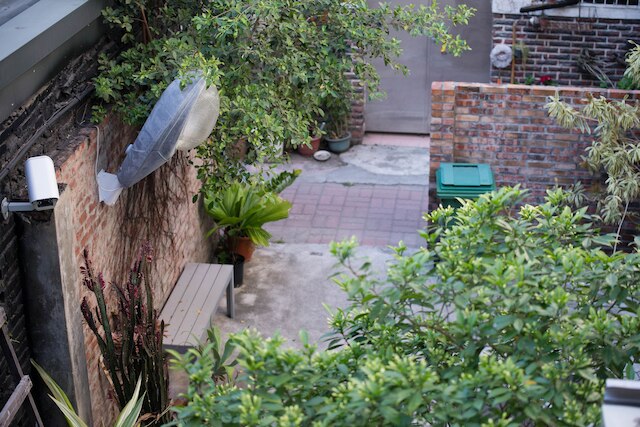 バードアイ ガーデン (被愛花園)