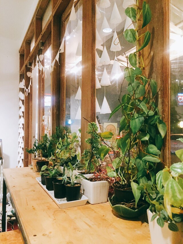 リムニム ホステル