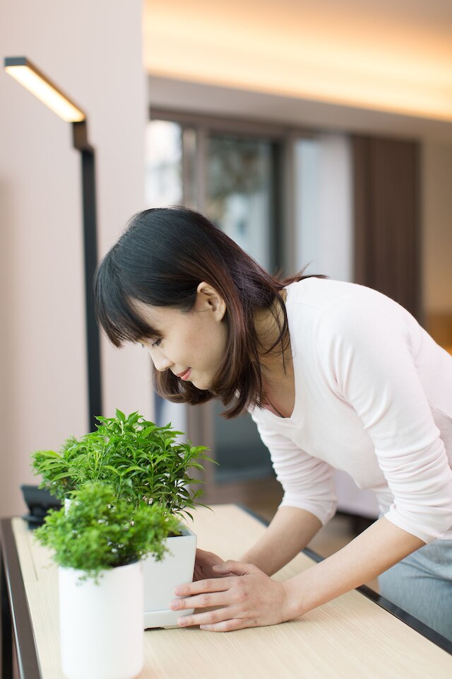 モデナ バイ フレイザー バンコク ホテル レジデンシズ