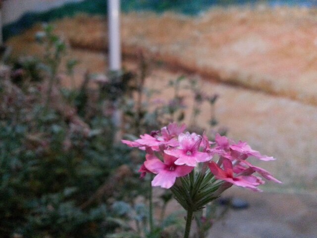 プンギョン コリア トラディショナル ハウス